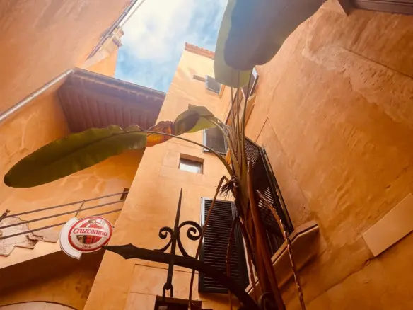Soul Palace – A masterpiece of history in the heart of Palma’s old town - Homes in Mallorca