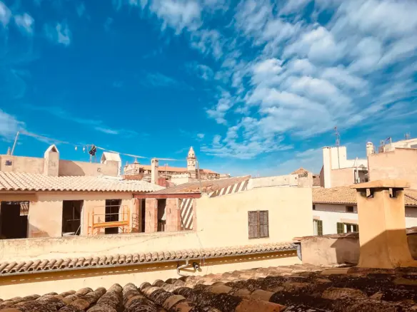 Soul Palace – A masterpiece of history in the heart of Palma’s old town - Homes in Mallorca