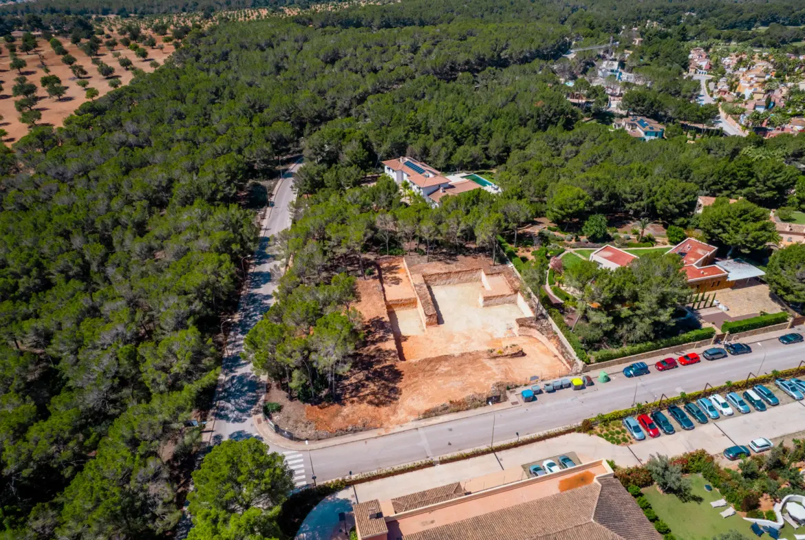 1750160070-b3fe165d-f3bc-4aa7-b2c2-a001365e94f9