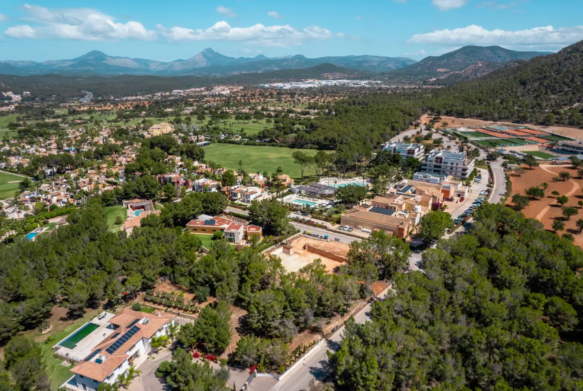 1750160072-2a5226c3-02f0-47b3-be9e-e7bb1bcc1452