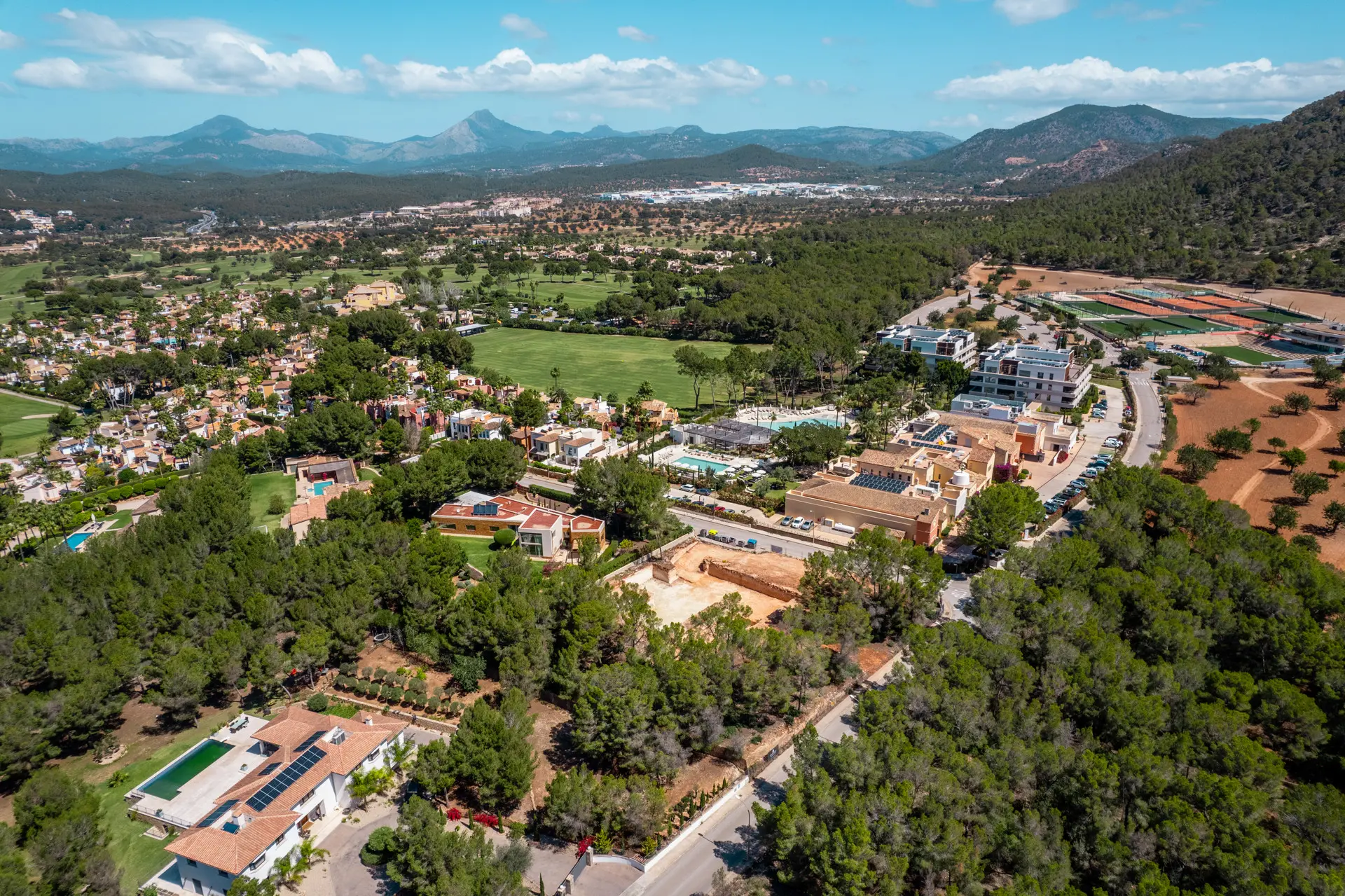 1750160072-2a5226c3-02f0-47b3-be9e-e7bb1bcc1452