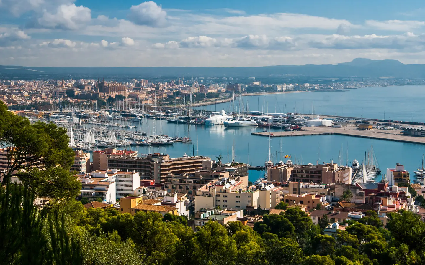 Palma Harbour and city and Luxury Apartments in Palma with Palmallorca