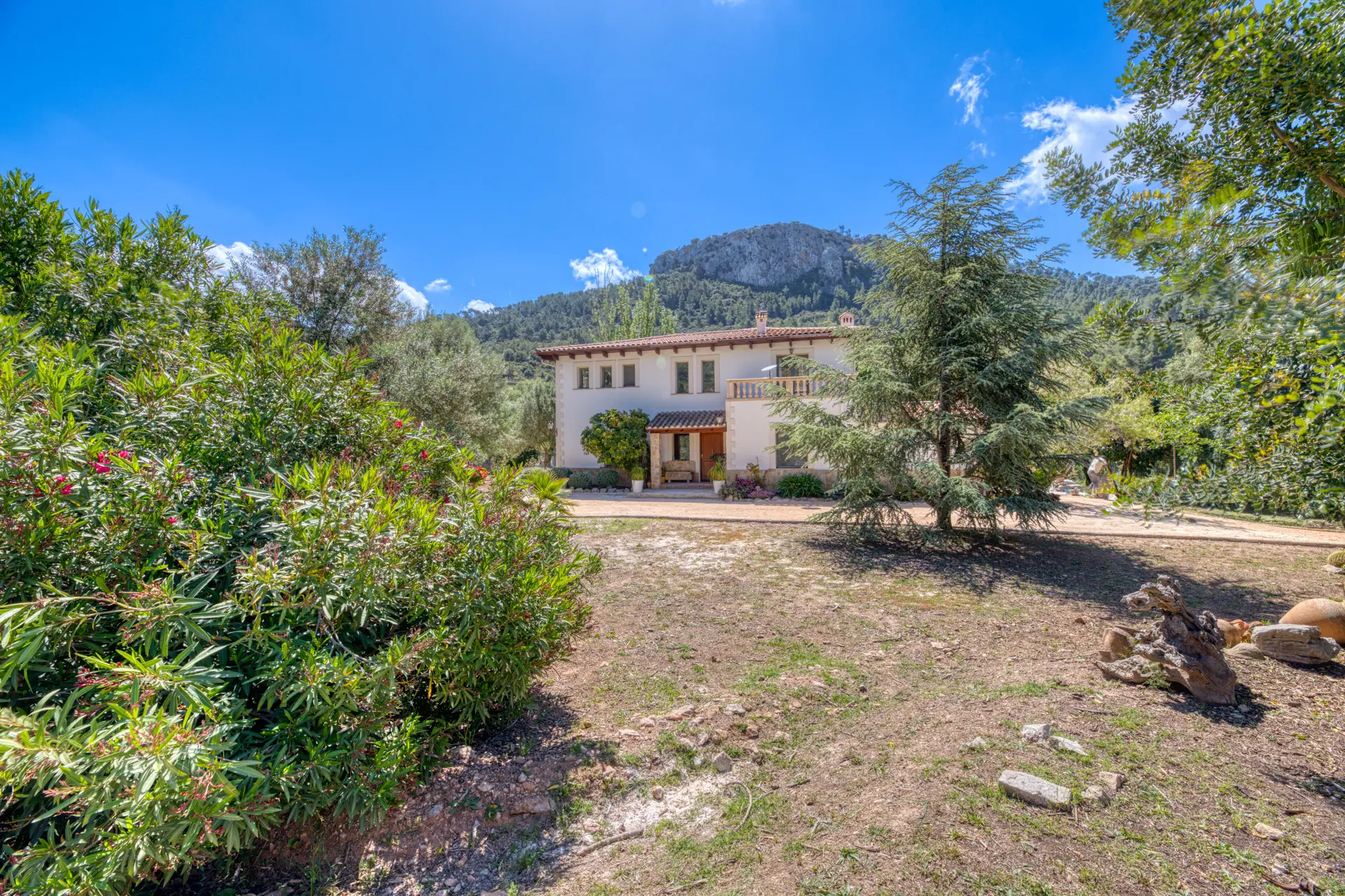 1760459112-89334945-89d7-4cf0-9801-2a81e3a3b248