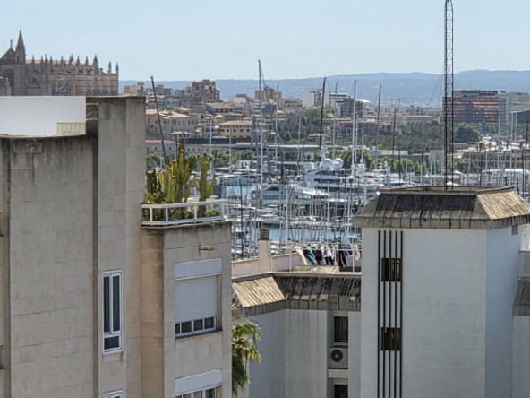 Featured Luxury Apartments in Bellver Place with Palmallorca