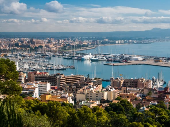 Palma Harbour and city and Luxury Apartments in Palma with Palmallorca